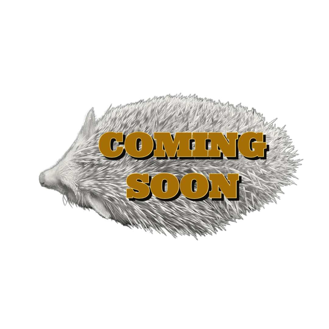 オンラインストア